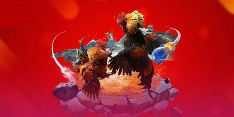 Đá Gà R88 - Trải Nghiệm Cá Cược Hấp Dẫn Và Thú Vị