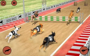 Cách Chơi Game Nhanh Đua Chó Tại R88 - Hướng Dẫn Chi Tiết Và Hiệu Quả 5 Cách Chơi Game Nhanh Đua Chó Tại R88 - Hướng Dẫn Chi Tiết Và Hiệu Quả