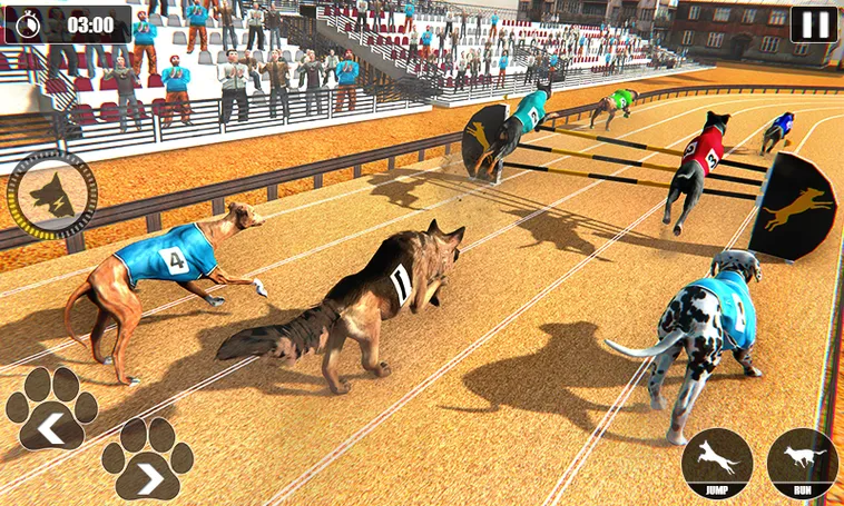 Cách Chơi Game Nhanh Đua Chó Tại R88 - Hướng Dẫn Chi Tiết Và Hiệu Quả 2 Cách Chơi Game Nhanh Đua Chó Tại R88 - Hướng Dẫn Chi Tiết Và Hiệu Quả