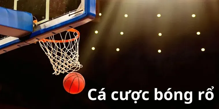 Tìm Hiểu Cá Cược Bóng Rổ R88 - Hướng Dẫn Chi Tiết Cho Người Chơi 2 Tìm Hiểu Cá Cược Bóng Rổ R88 - Hướng Dẫn Chi Tiết Cho Người Chơi
